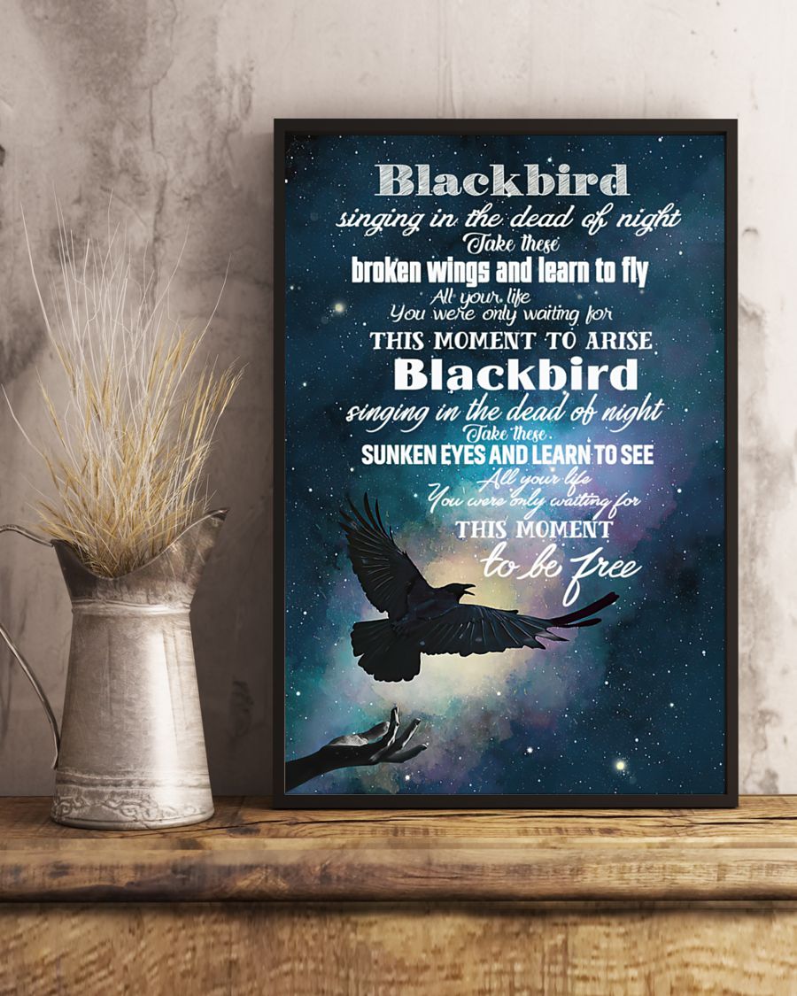 Blackbird singing in the dead of night Take these broken wings and learn to fly fleece posterc
