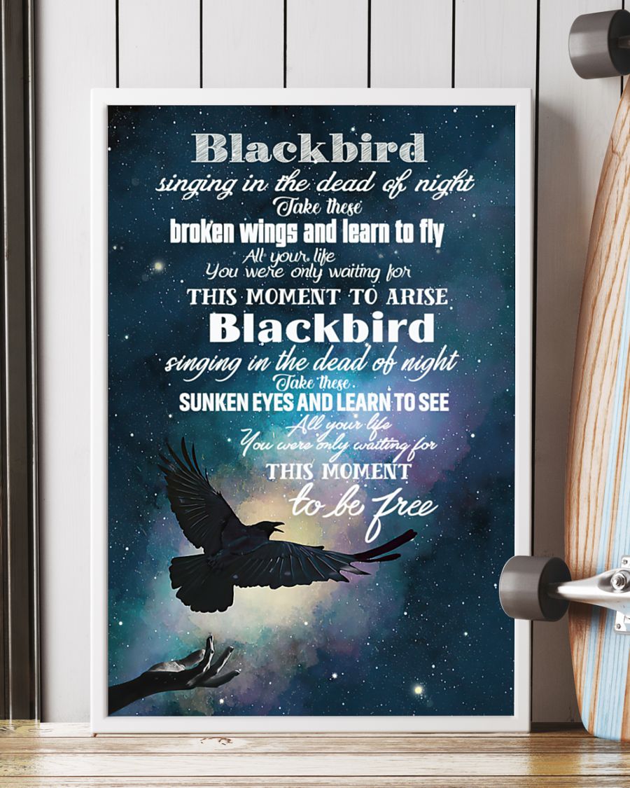 Blackbird singing in the dead of night Take these broken wings and learn to fly fleece posterv