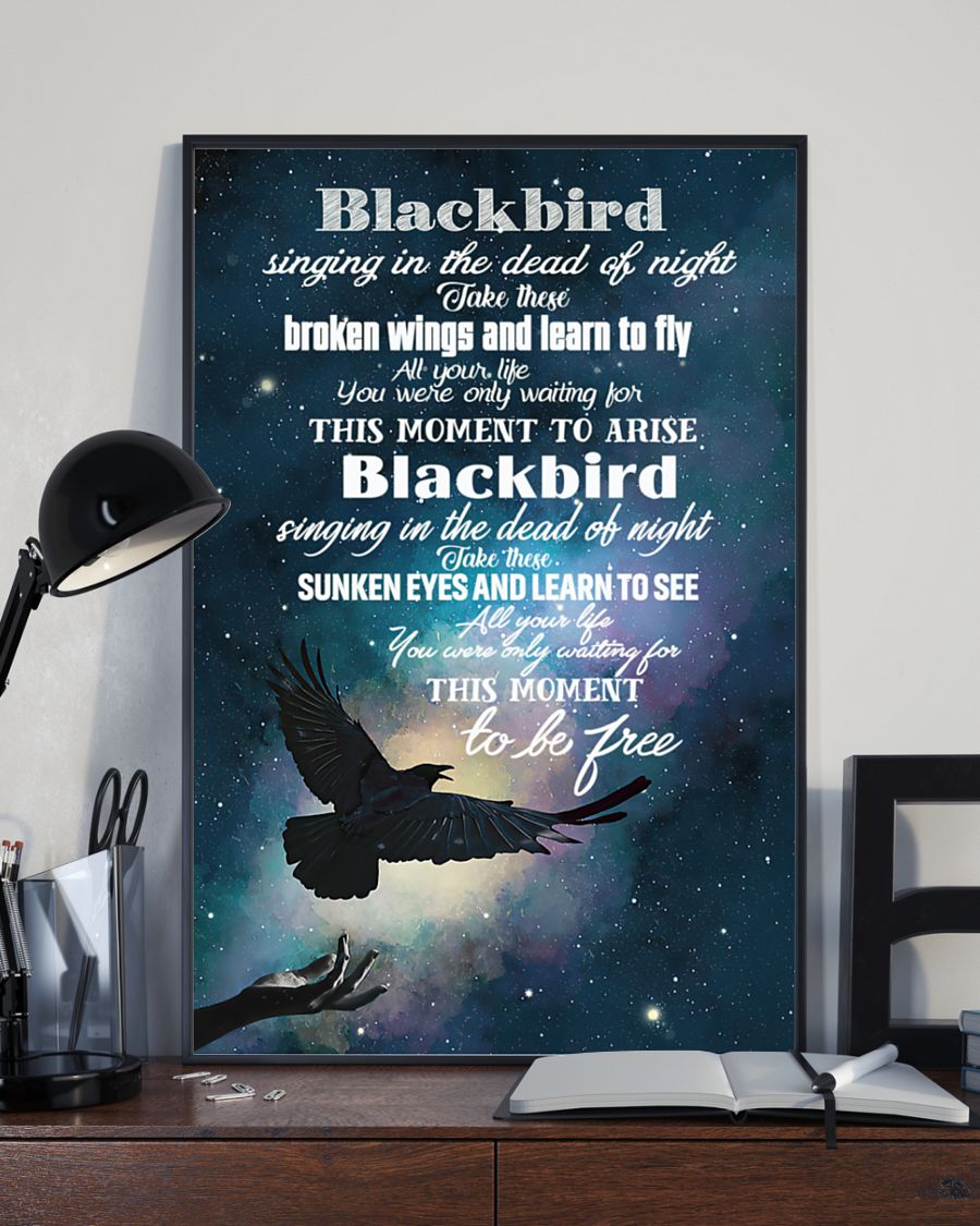Blackbird singing in the dead of night Take these broken wings and learn to fly fleece posterx