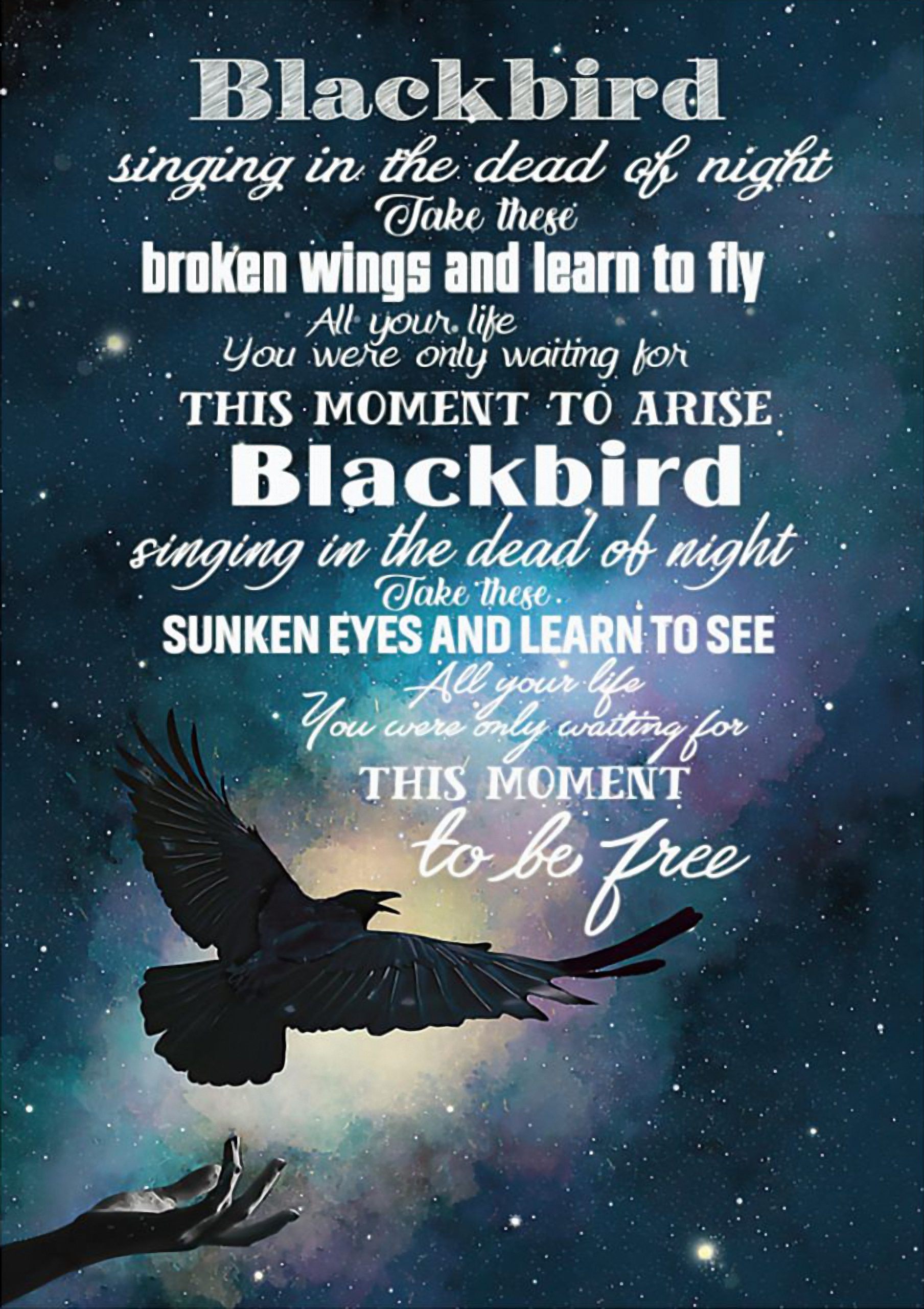 Blackbird singing in the dead of night Take these broken wings and learn to fly fleece posterz