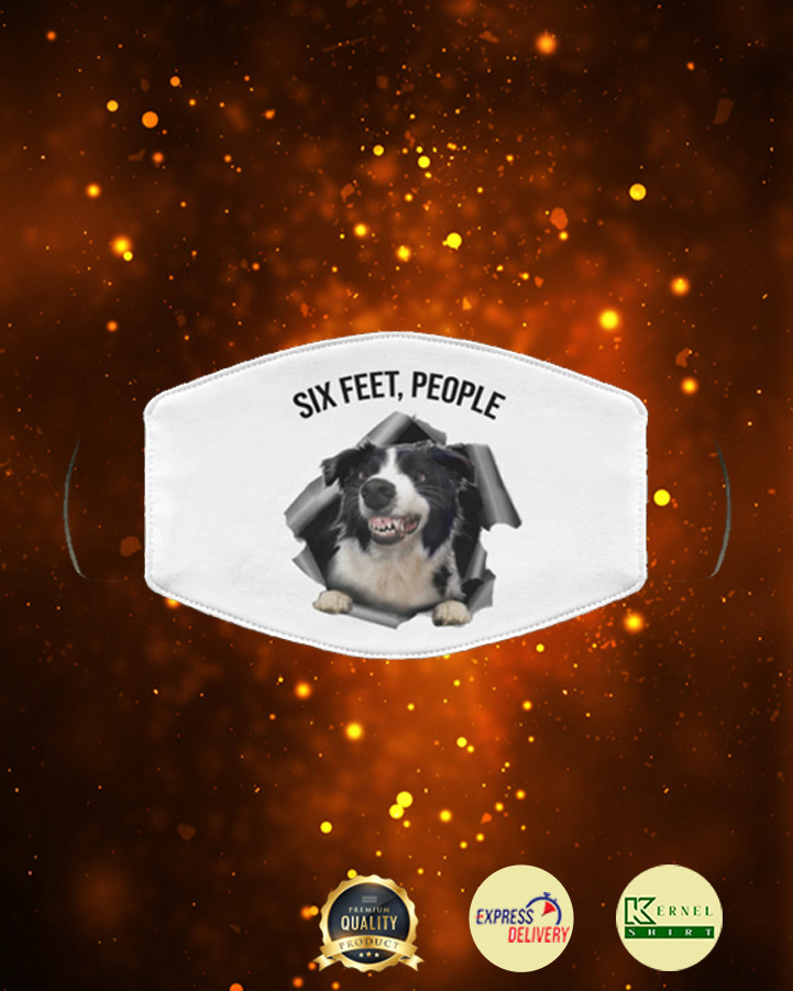 Border Collie 6 Feet People face mask