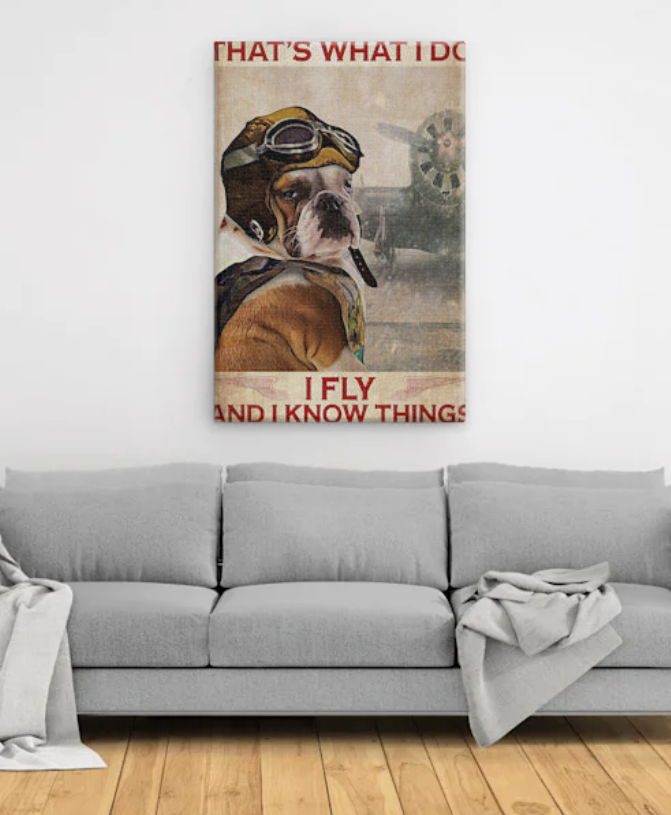 Bulldog Pilot That's What I Do I Fly And I Know Thing poster