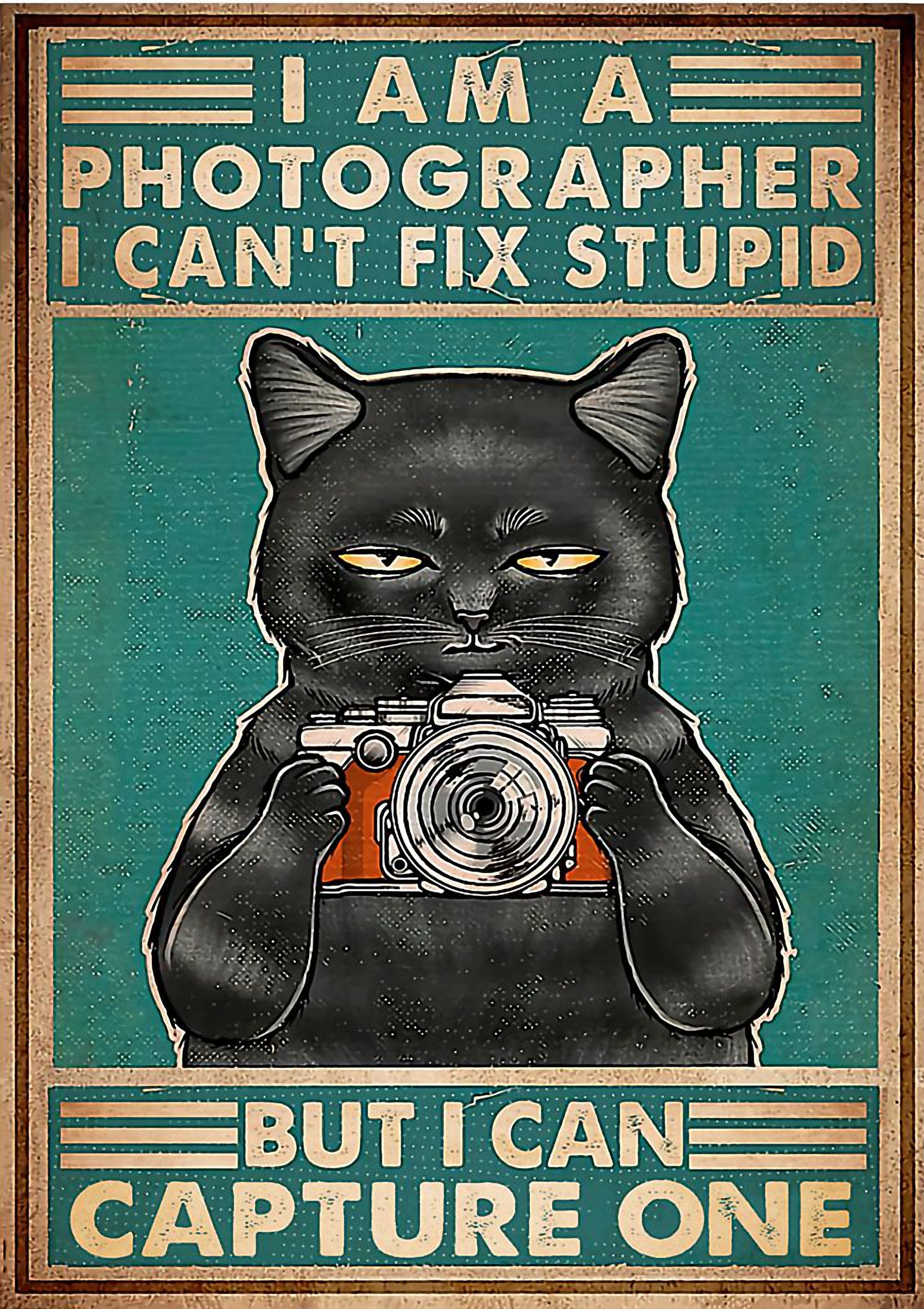Cat I am a photographer I can't fix stupid but I can capture one poster