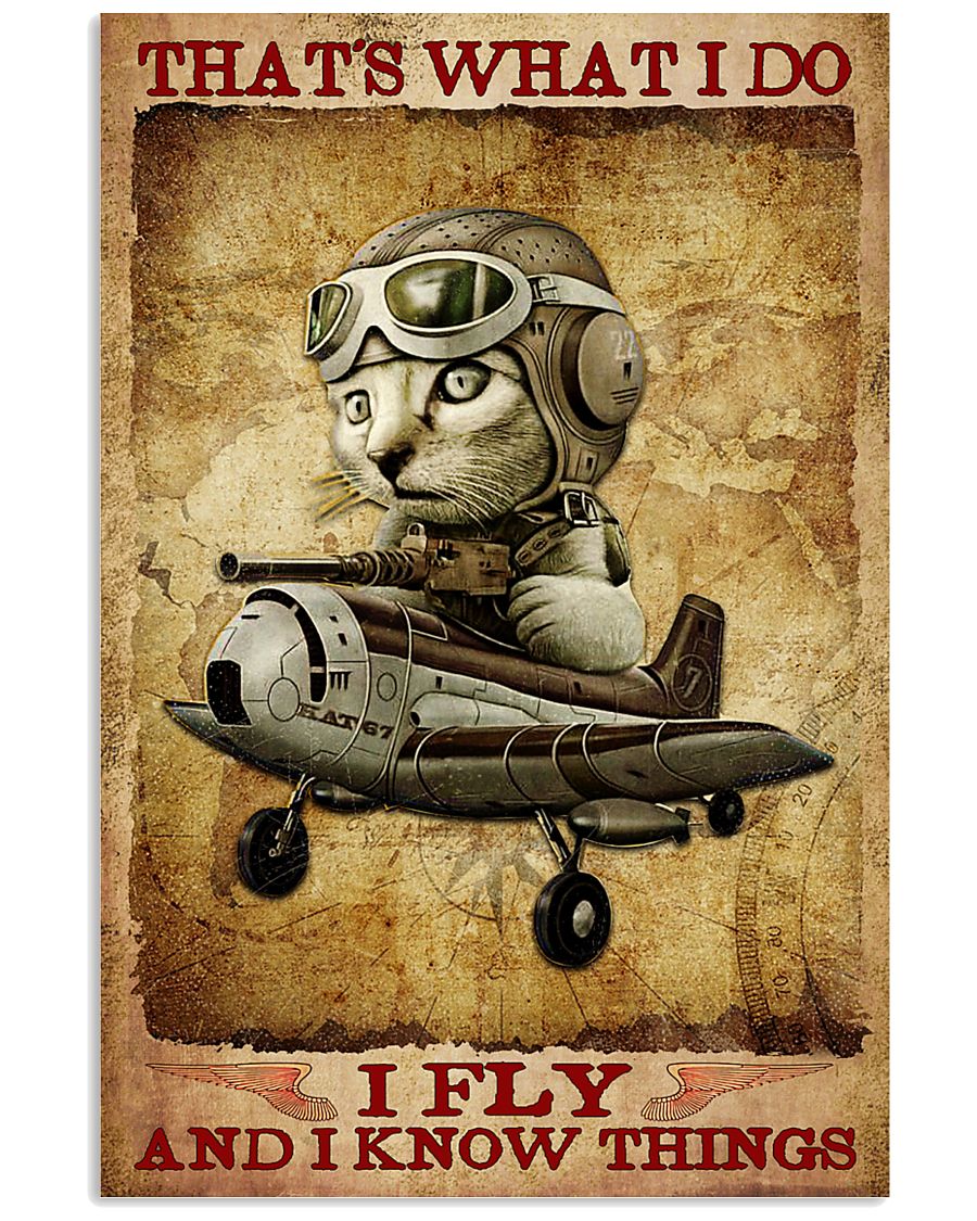 Cat Pilot That's What I Do I Fly And I Know Things Poster