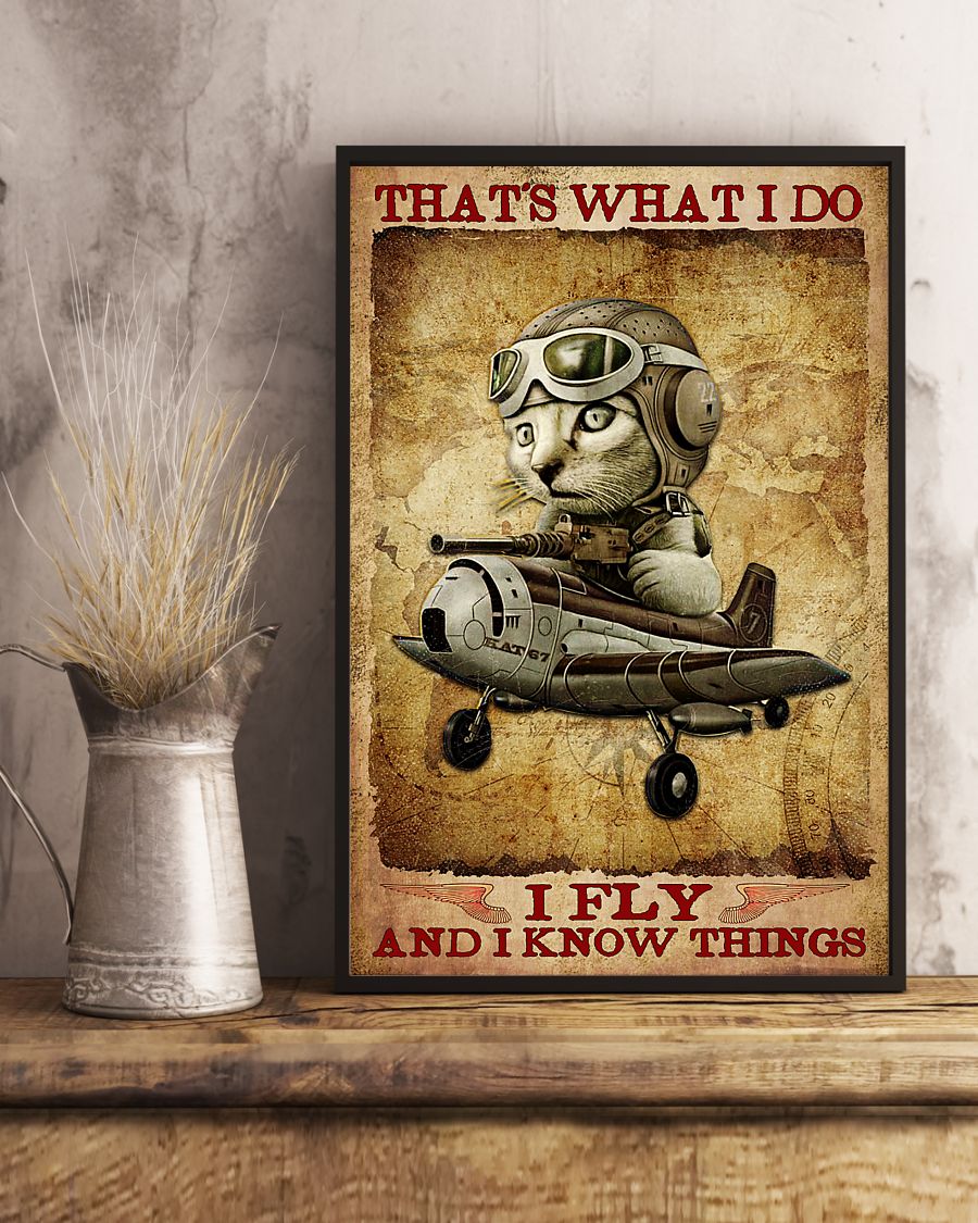 Cat Pilot That's What I Do I Fly And I Know Things Poster
