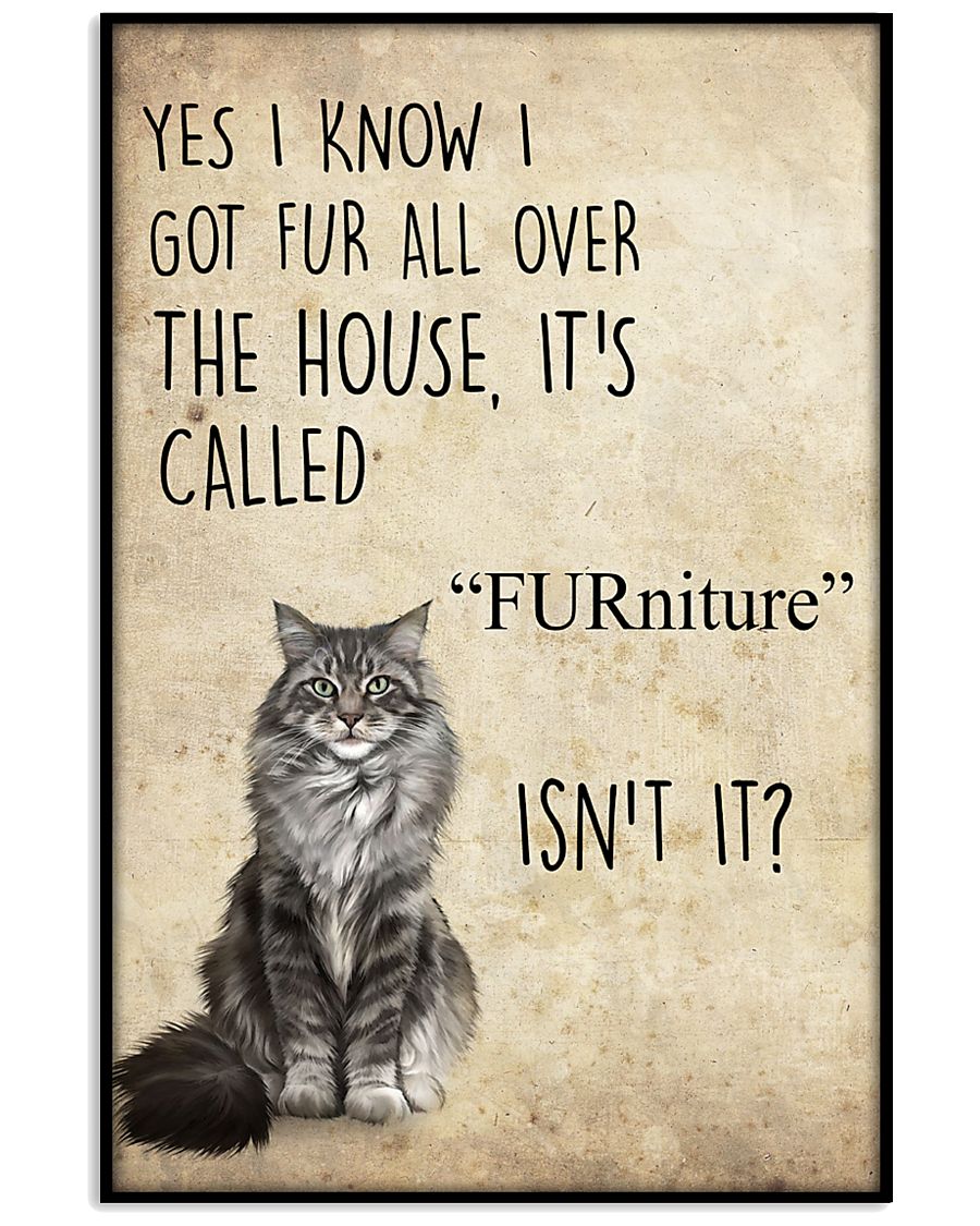 Cat Yes i know i got fur all over the house Poster
