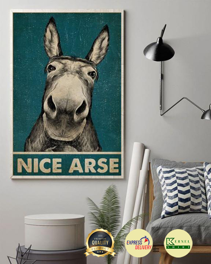 Donkey Nice Arse poster