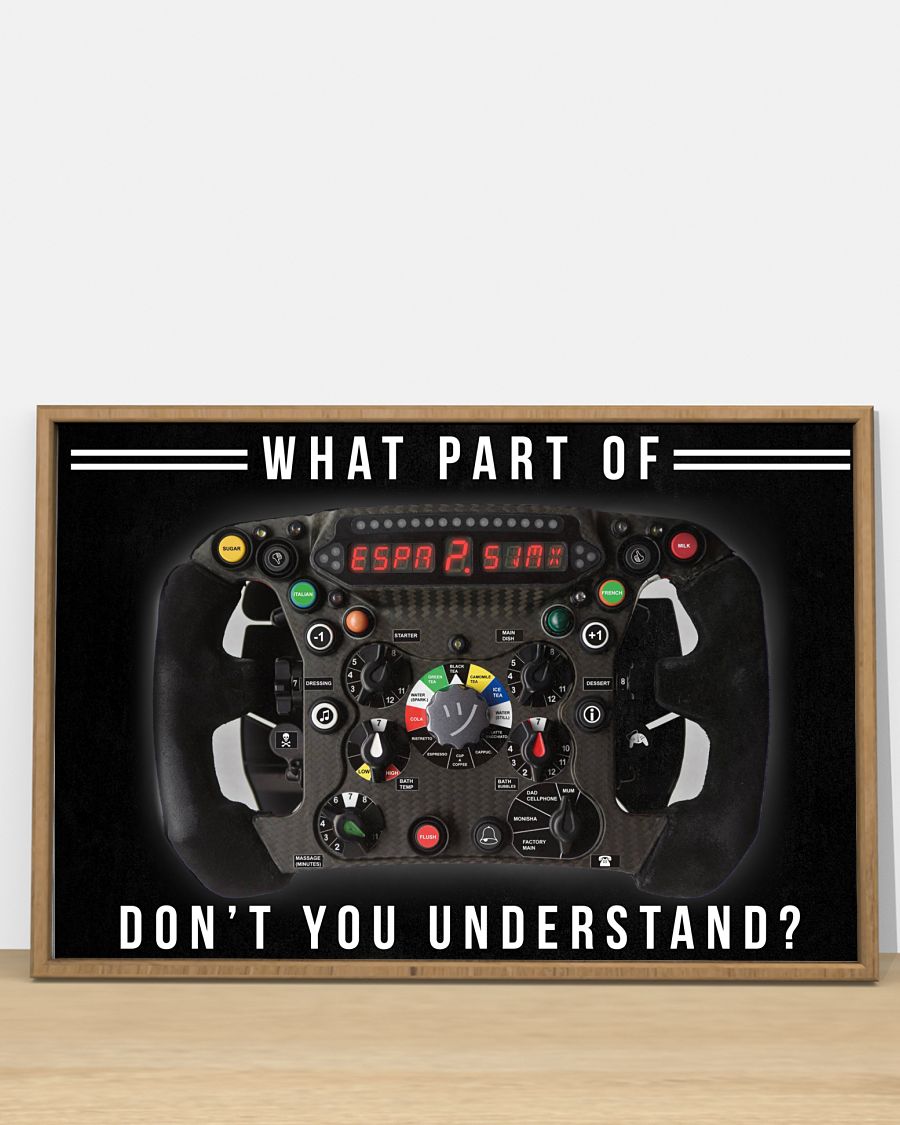 What apart of Don't you understand F1 Steering Wheel posterc