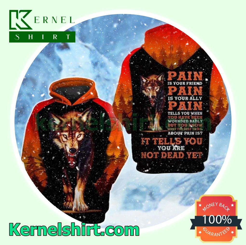 Wolf Pain Is Your Friend Pain Is Your Ally Pain Tells You When You Have Been Wounded Badly Mens Hoodie