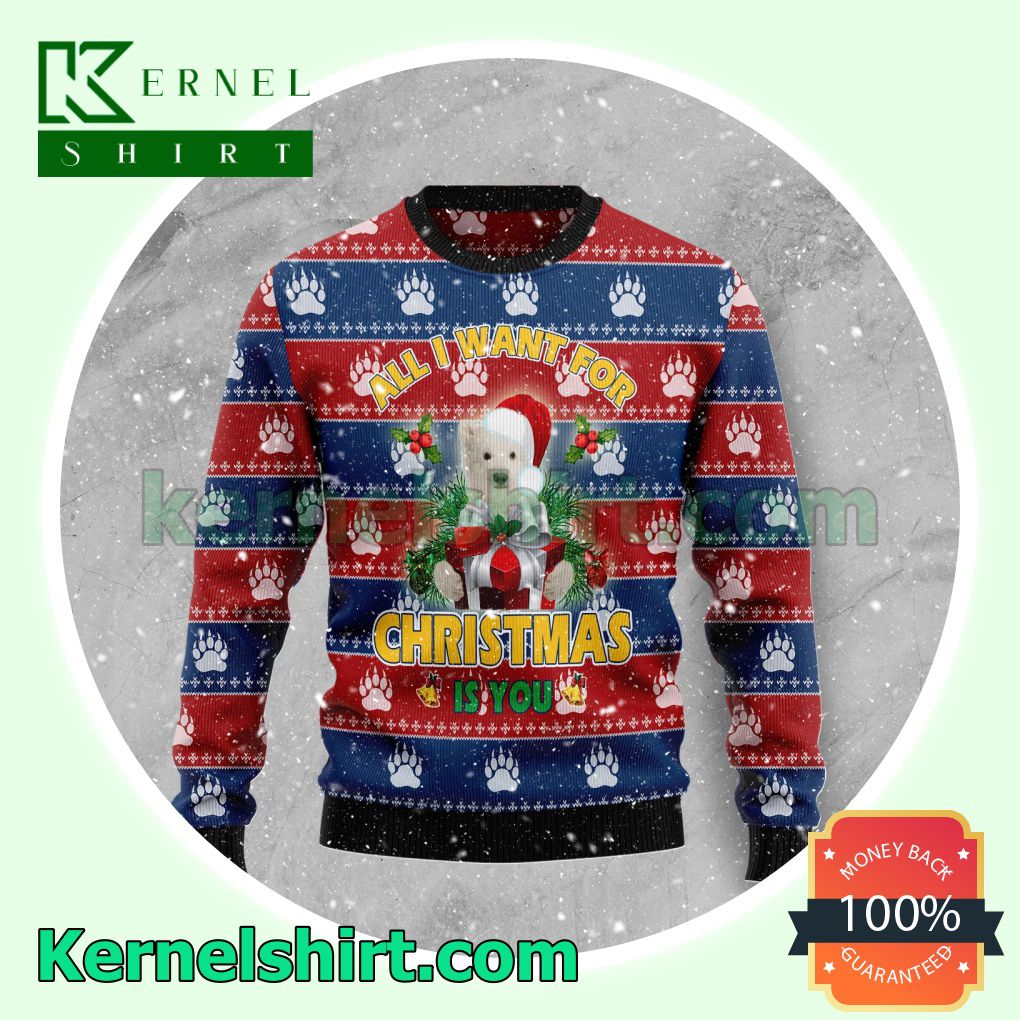 Polar Bear All I Want Christmas Xmas Knitted Sweaters