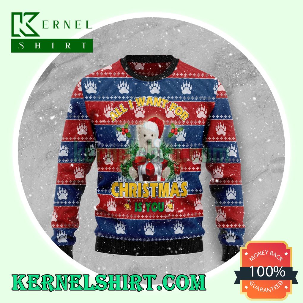 Polar Bear All I Want For Christmas Is You Christmas Sweatshirts