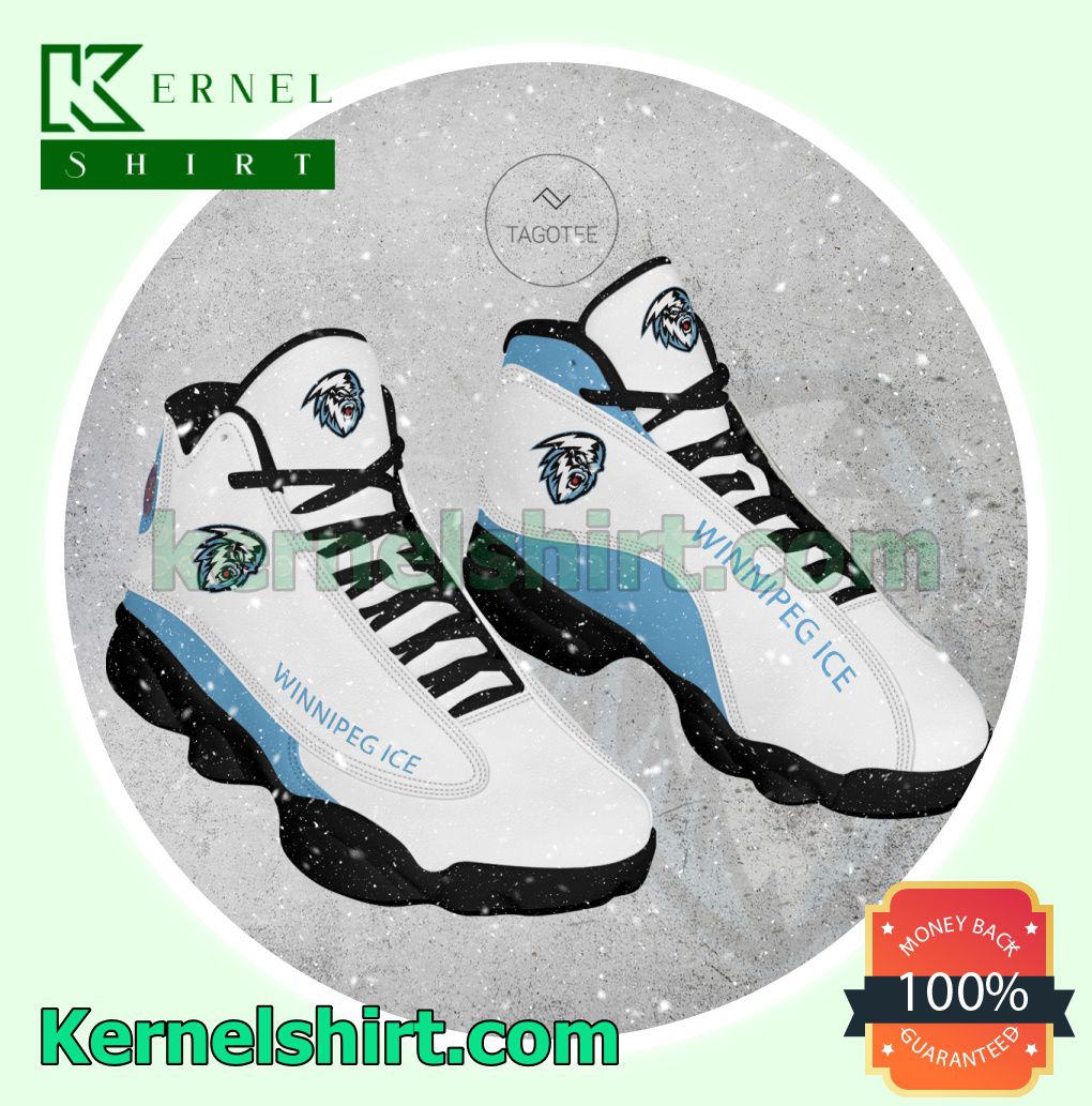 Winnipeg Ice Logo Jordan Workout Shoes a