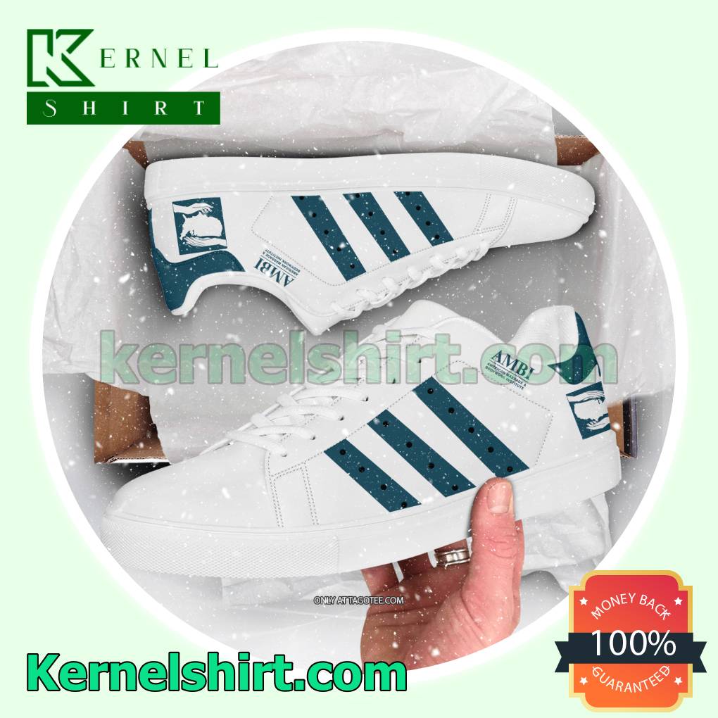 American Massage & Bodywork Institute Adidas Skate Shoes